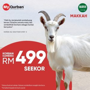 Korban Kambing Di Makkah