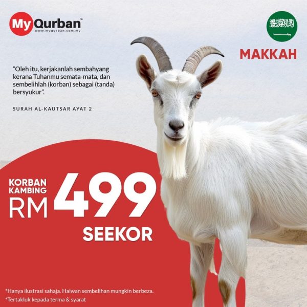 Korban Kambing Di Makkah
