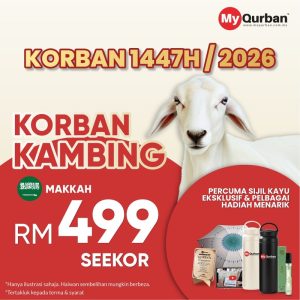Korban Kambing Di Makkah