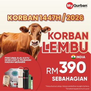 Korban Lembu di India