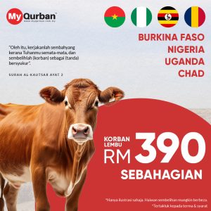 Korban Lembu di Afrika
