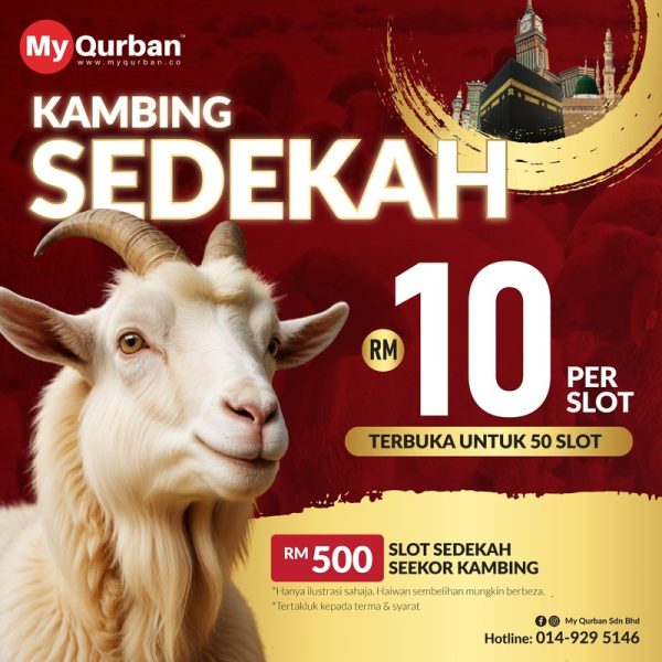 Sedekah Kambing Makkah