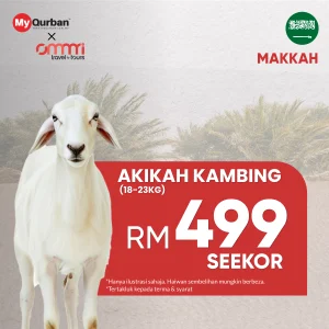 Akikah Kambing di Makkah