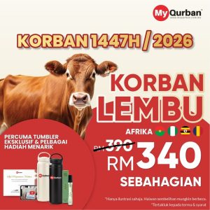 Korban Lembu di Afrika Promo